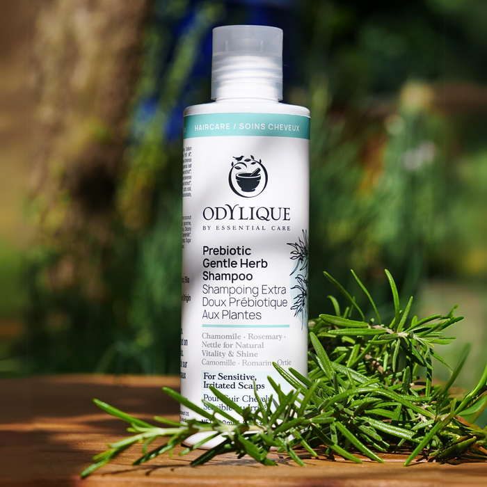 UUTUUS! Odylique Prebiotic Gentle Herb - Prebioottinen yrttishampoo